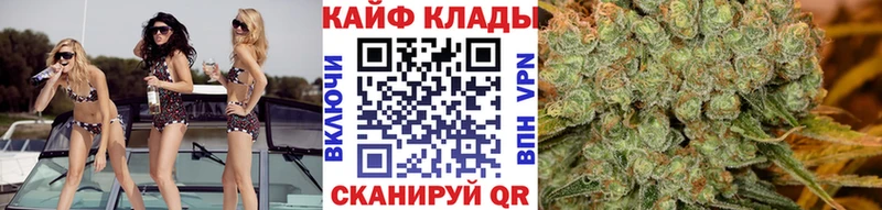 Купить закладку Alpha-PVP  Каннабис  Кокаин  Амфетамин  Псилоцибиновые грибы  Меф  ГАШИШ  Салехард