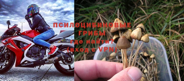 крисы Нея