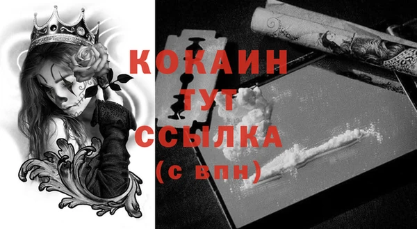 крисы Нея