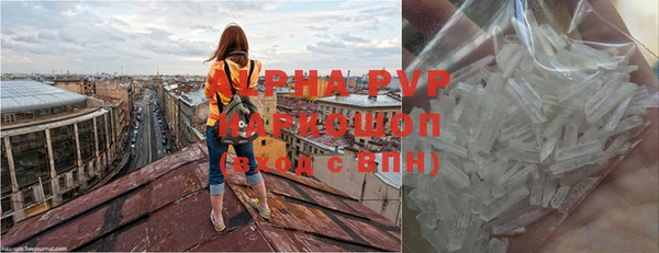 крисы Нея