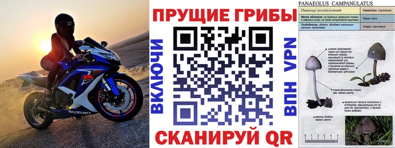 Галлюциногенные грибы GOLDEN TEACHER  Купить  Салехард 