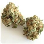 Шишки "White Widow"  (Белая вдова)  Гидропоника -  Бошка VHQ в Салехарде